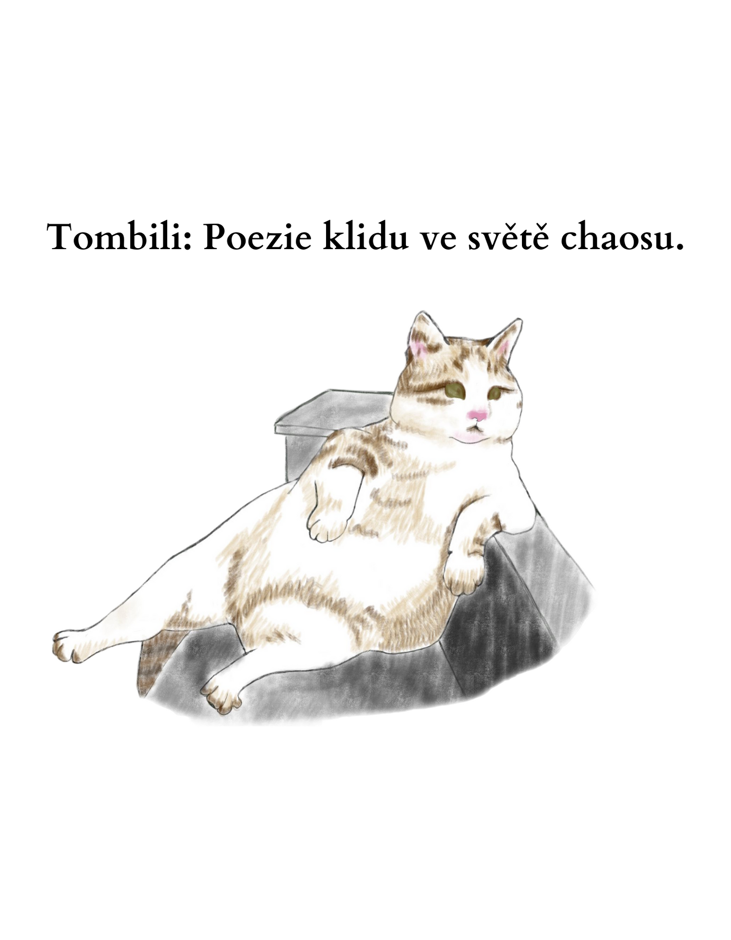 Tombili kočička